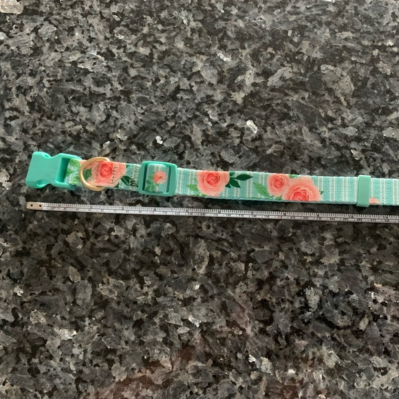 Dog Collar made by Petco - Picture 2 of 2